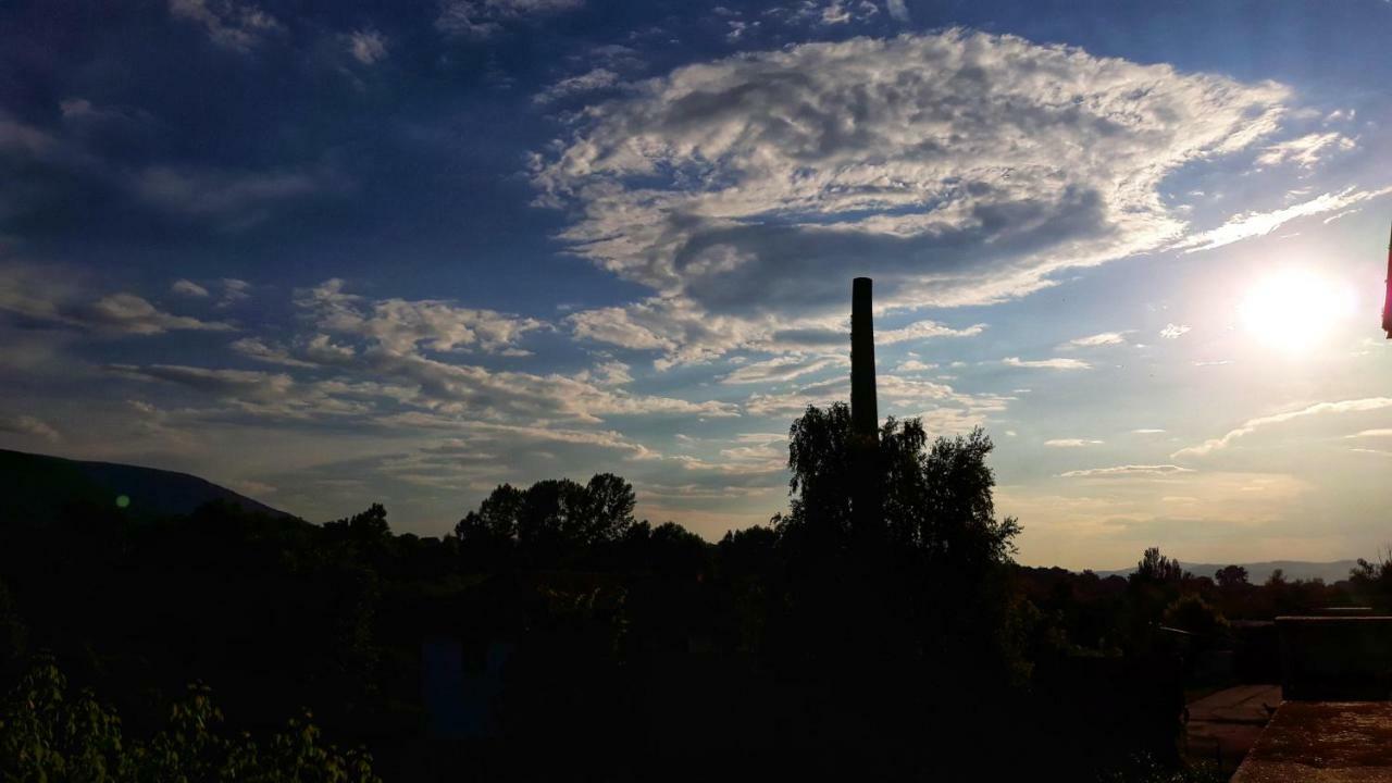 Vila Simic Soko Banja Exterior foto